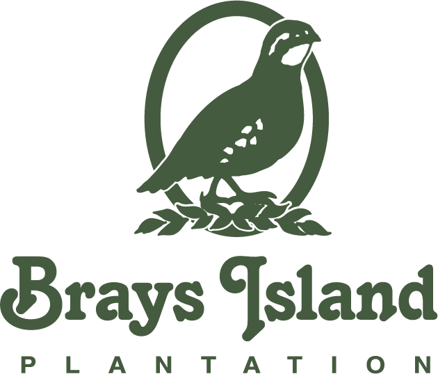 Brays_PrimaryLogoPlantation_GreenCMYK