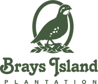 Brays_PrimaryLogoPlantation_GreenCMYK